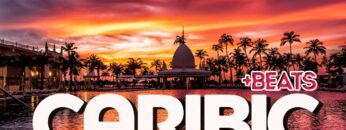 CARIBIC⁺ᴮᵉᵃᵗˢ – DJ SET immerse 2 magic senses  | DJ SCHIE_MAN House, Techno, Melodic WILD MIX