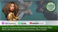 From Mangrove Forests to Festival Stages: The Journey of Jayda