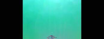 DJ Metatron aka Traumprinz – This Is Not (Giegling Mix