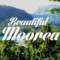 Beautiful MO’OREA Honeymoon Chillout & Lounge Mix Del Mar