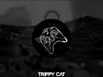 Melodic Techno & House Mix 2022 Winter | Trippy Cat
