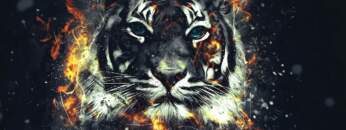 Melodic House & Techno Mix New Year Mix 2022