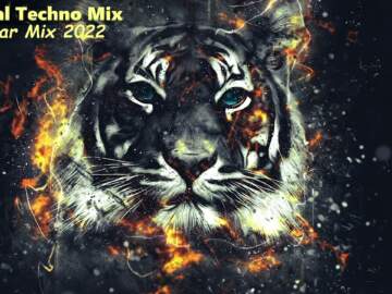 Melodic House & Techno Mix New Year Mix 2022