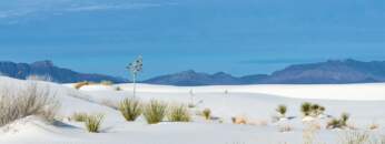 Dub Techno Mix – WTM #1371