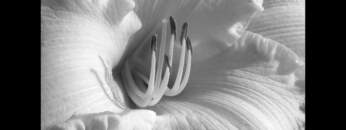 Dub Techno Music Set In The Mix #3 By Klaüs.