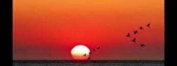 NU – FOUR SEASON FULL ALBUM