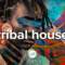 Deep Techno & Tribal House Mix – December 2019 (#HumanMusic)
