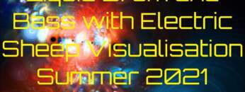 Liquid Drum and Bass with Electric Sheep Visualisation Summer 2021