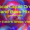 Vocal Liquid Drum and Bass Mix Summer 2019 With Electric Sheep Visuals.