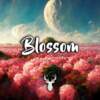 Blossom | Beautiful Chill Mix