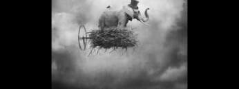 Coccolino Deep – Don’t forget to fly