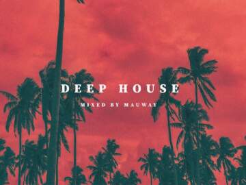 Relaxing Deep & Tech House Mix (Camelphat, Meduza, Elderbrook, Hot