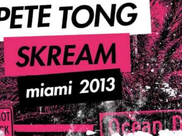 All Gone Pete Tong & Skream Miami 2013 (Pete Tong