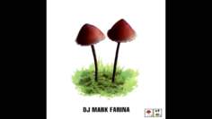 Mark Farina – Mushroom Jazz 2
