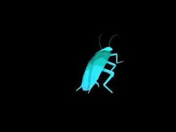 Rainbow cockroach dances to Daft Punk Around the World 1