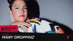 Dirtybird Radio 342 – Mary Droppinz