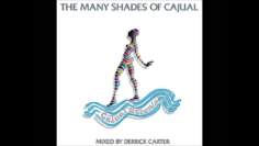 Derrick Carter – The Many Shades of Cajual