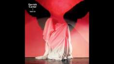 Fabric 56 – Derrick Carter (2011) Full Mix Album