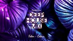 🍹 Deep House | Dom Dolla Style | March 2020