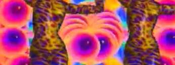 X Mix 01 Paul Van Dyk presents X Mix The