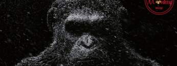 Minimal Techno & Minimal House Mix Special 200k Subscribe By