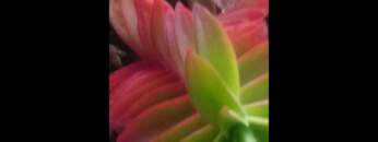 Dub Techno Music Set In The Mix #1 By Klaus