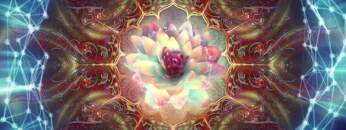 The Wonderful Lotus – Ambient _ Psy _ Chill Music