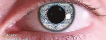 ☠ Morex – Baller dich weg ! I TEKKNATION I