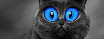 Coronita Minimal Techno Mix 2020