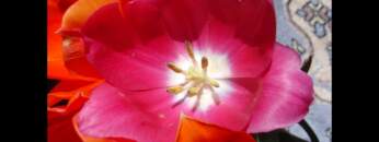 Dub Techno Music Set In The Mix #4 By Klaüs.