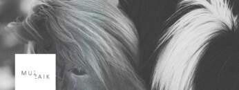 Deep and dub techno mix – FAIDEL – Muzaikfm 026