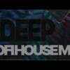 deep 🌿 lofi house mix