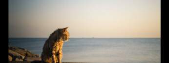 Dub Techno Session #29