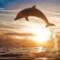 Beautiful Dolphins Chillout Lounge Mix Del Mar HD
