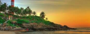 Beautiful Palm Trees Chillout Lounge Mix HD Del Mar
