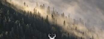 Division | Chill Music Mix