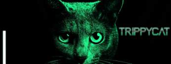 Serious Summer Dark Minimal Techno Mix 2020 [TRIPPYCAT]