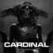 Dark Techno / EBM / Industrial Mix ‘CARDINAL’ [Copyright Free]