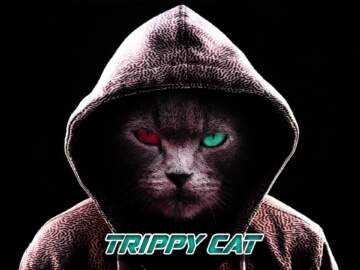 Trippy Cat – Coronita Minimal Techno 2020 September