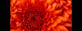 Maytrixx | I crashed my car into the bridge 1h