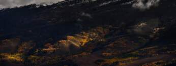 DUB TECHNO || Selection 007 ||