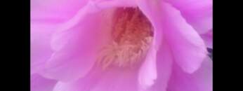 Dub Techno Music Set In The Mix #2 By Klaüs.