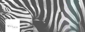 Muzaikfm 021 – radio live set I FAIDEL