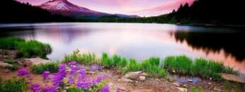 ✭Haimkind✭ – Eine unter Millionen