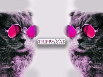 Coronita Special After Minimal Techno Mix 2020 [ Trippy Cat