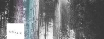 Muzaikfm 020 – radio live set I FAIDEL