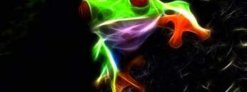 Silaz | Pillenfrosch ᴴᴰ