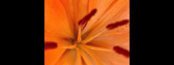 Dub Techno Music Set In The Mix #8 By Klaüs.