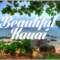 Beautiful KAUAI Chillout and Lounge Mix Del Mar