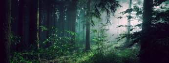 [Dub Techno Mix] XEED – Circles & Spheres Podcast